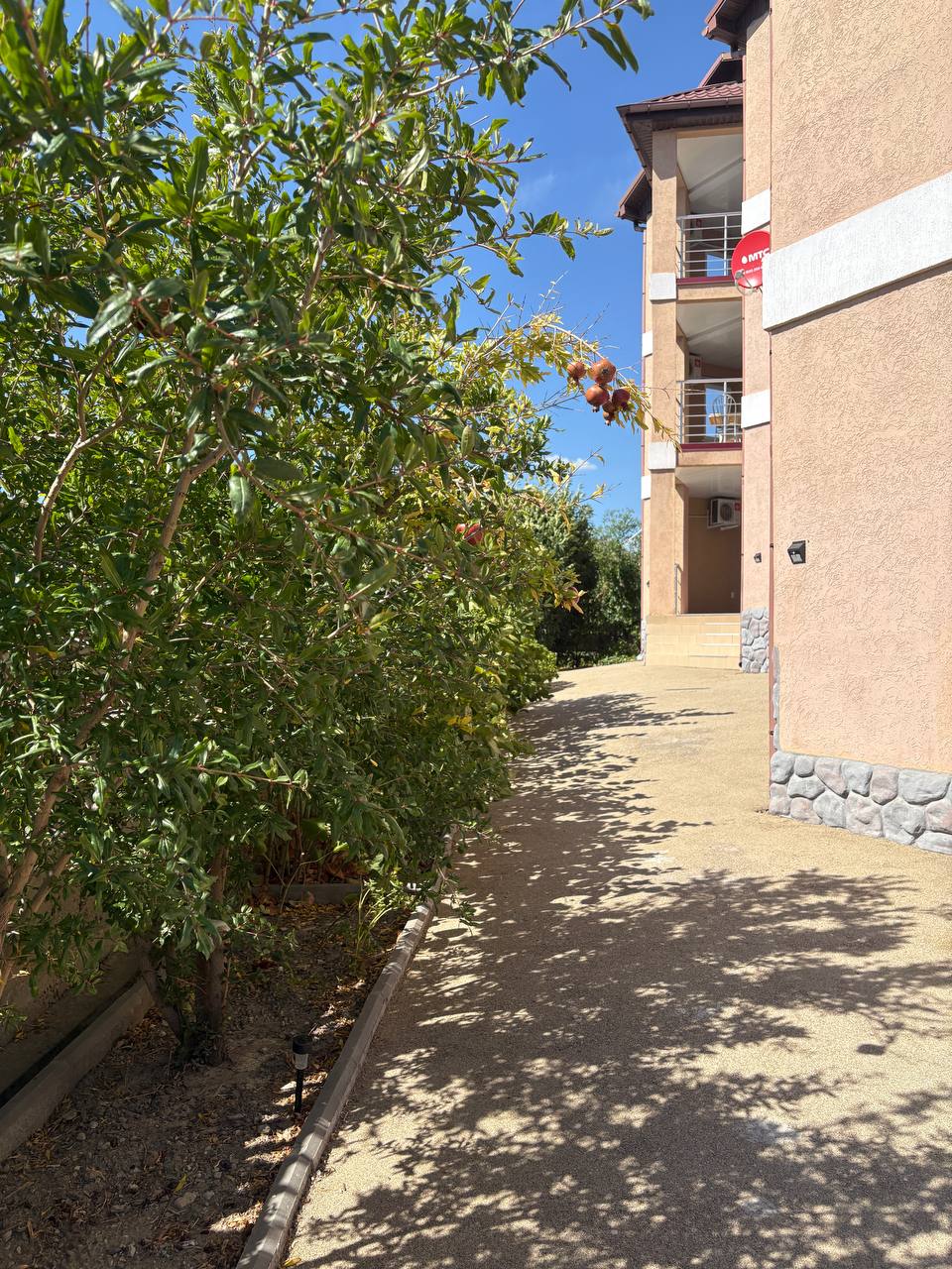 Фото Звездный