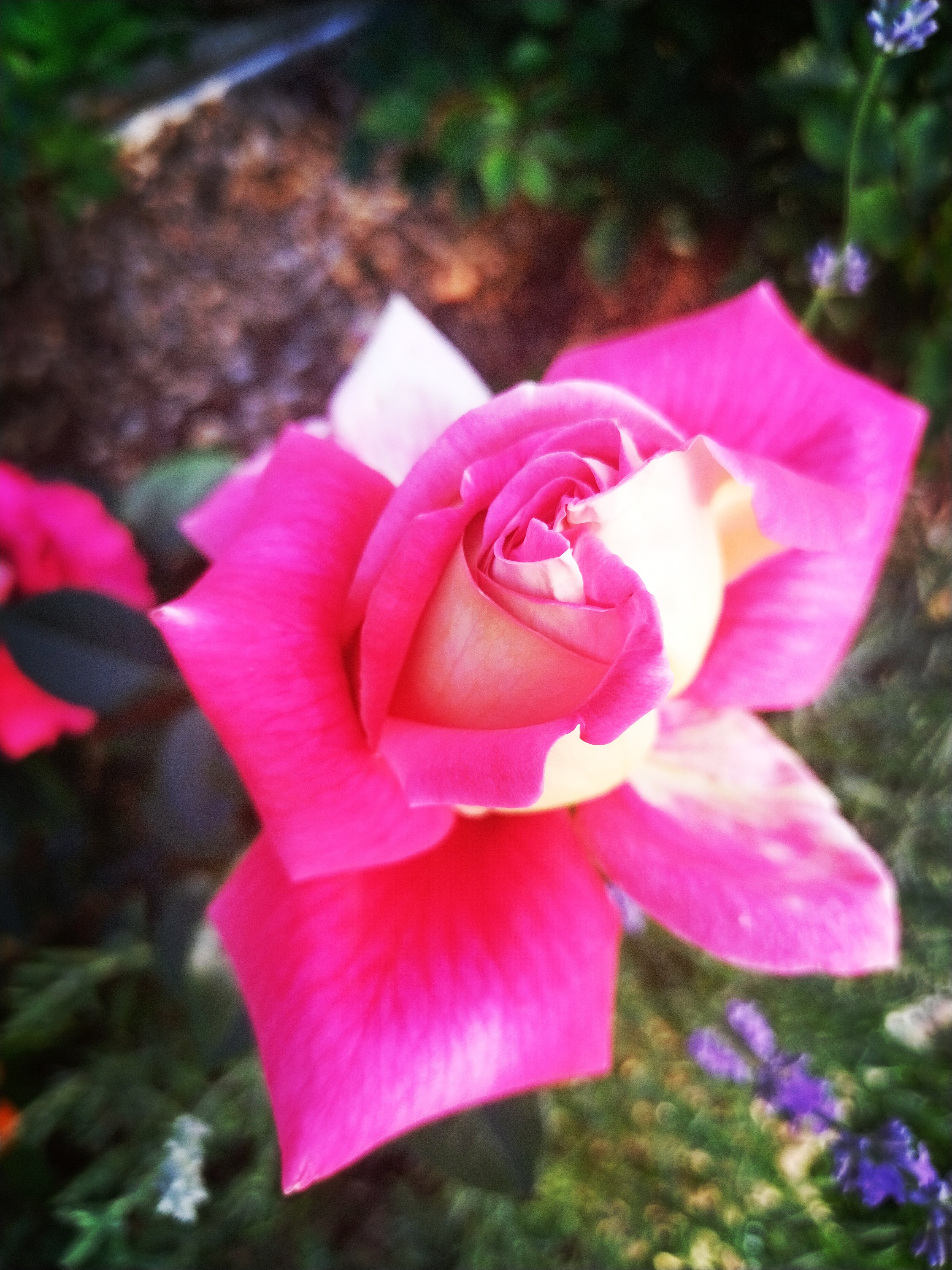 Фото Форт Логово в Бабариках