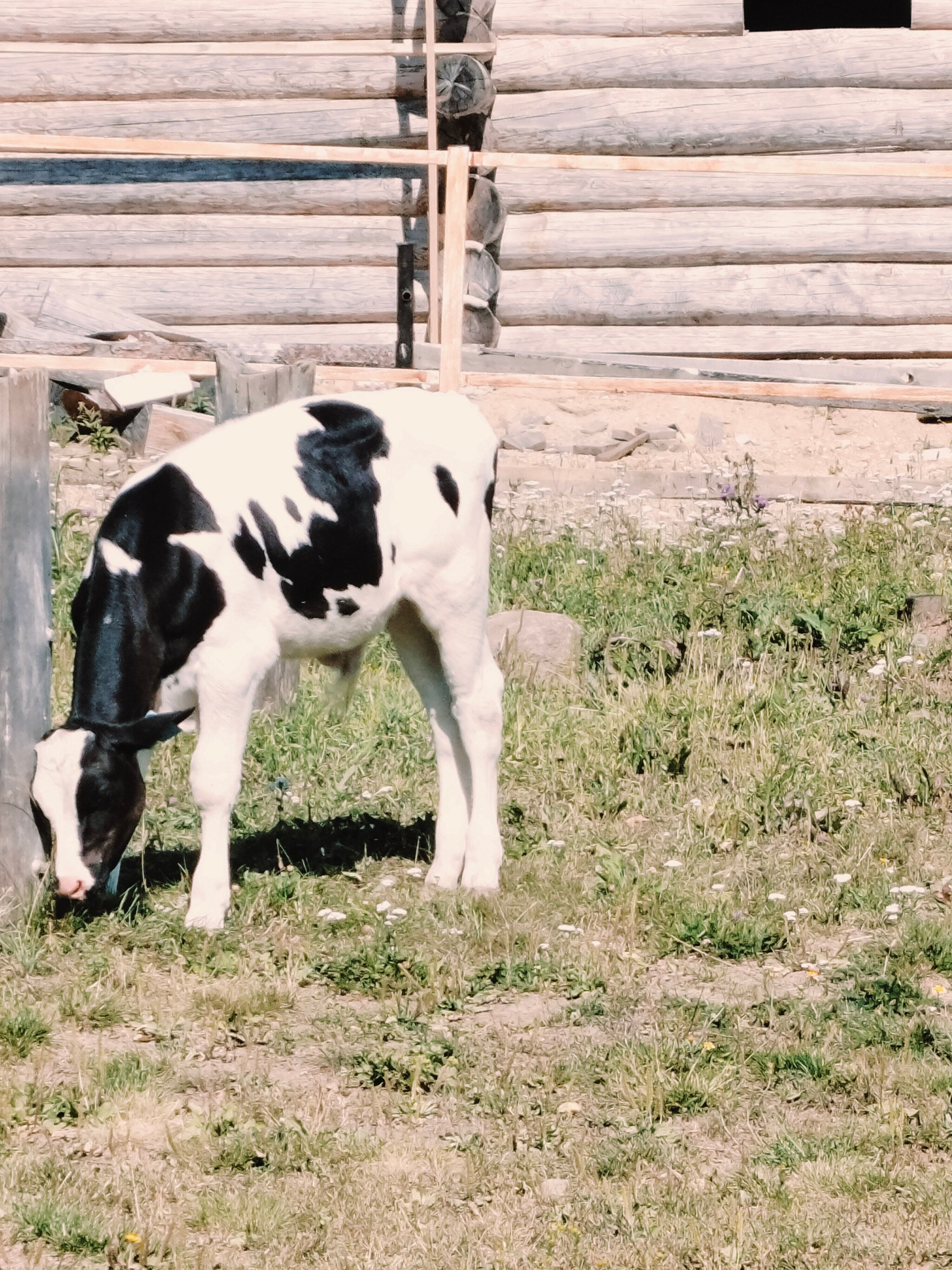 Фото Территория гостеприимства Рогачиха
