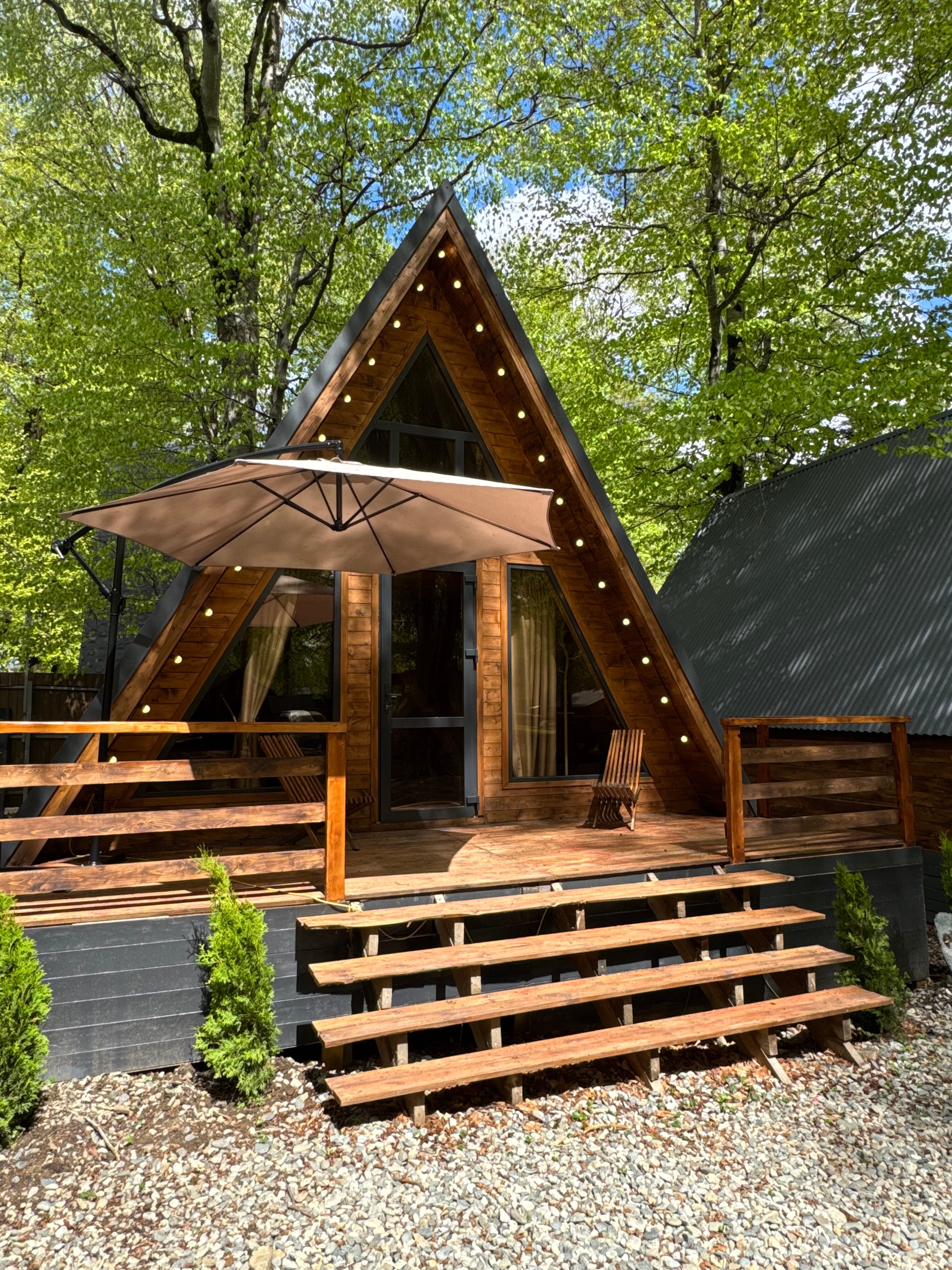 Фото Лесная Гармония