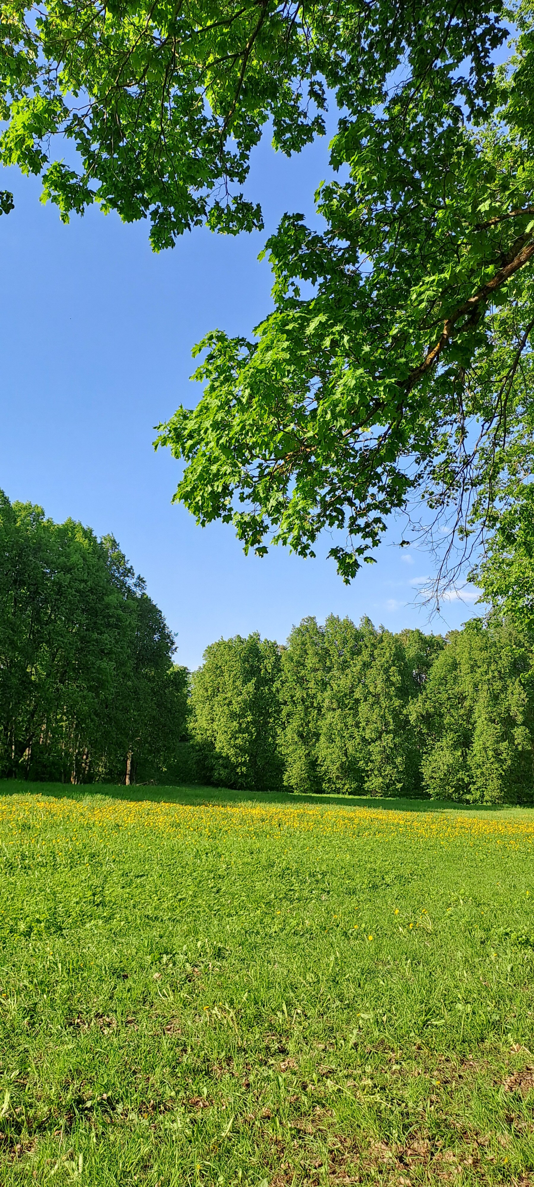 Фото Бутик Отель Любови Орловой