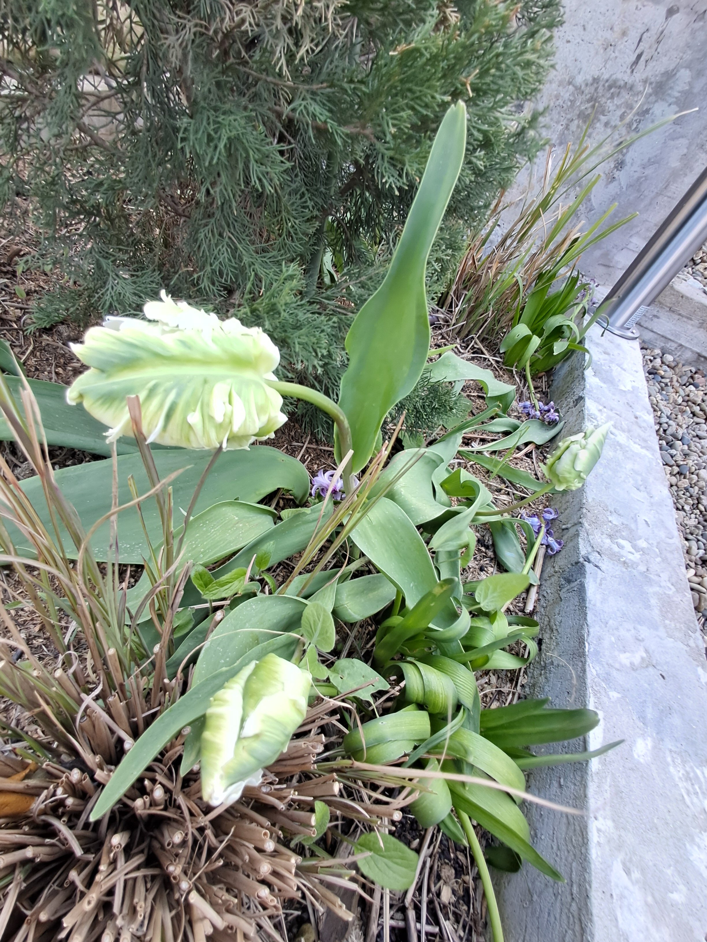 Фото Abrau Garden