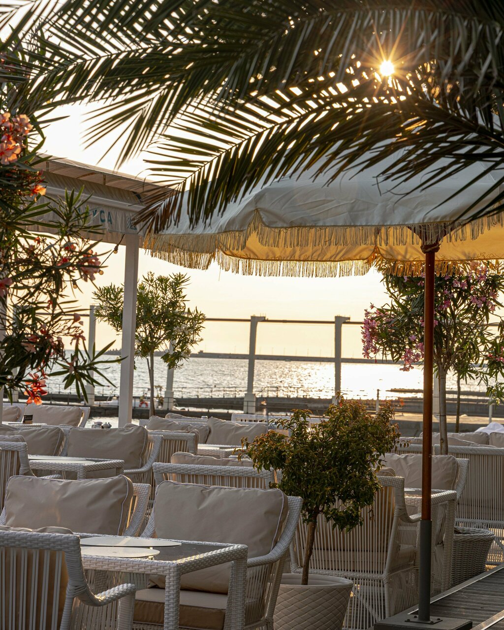 «Кофейни и кафе с вкусными печеньями в Сочи» фото материала