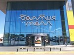 Saint Pets (Kaliningrad Region, Guryevskiy munitsipalny okrug, Primorskoye koltso, 2), pet shop