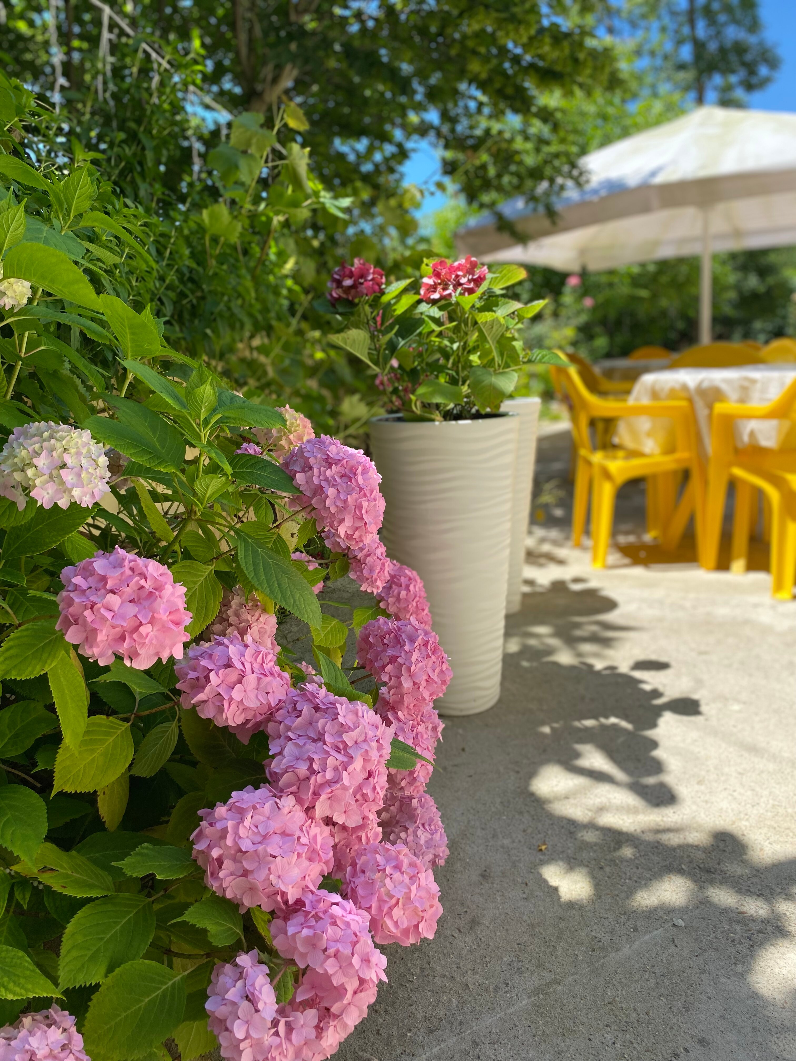 Фото Кристалл