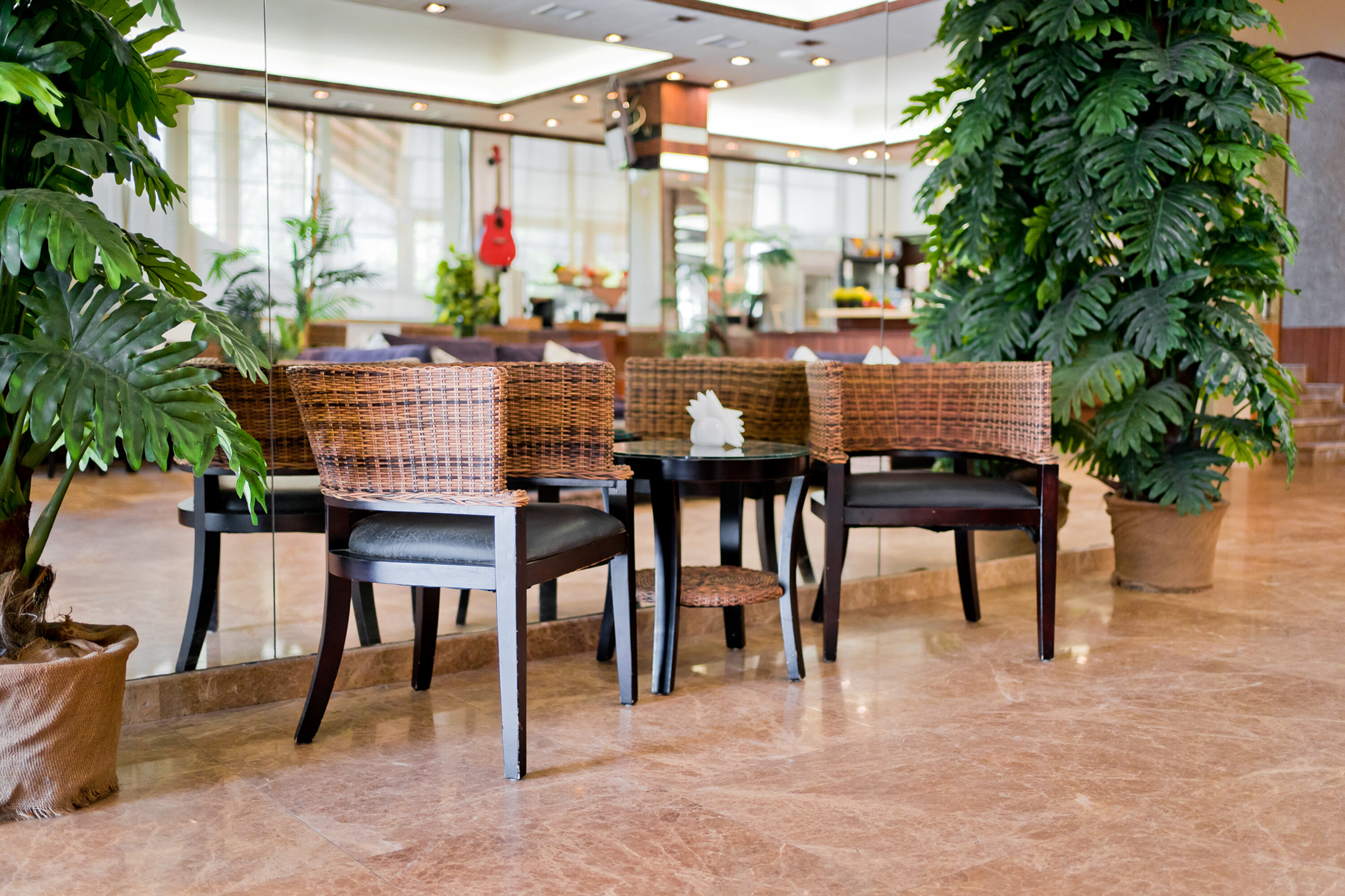 Фото La Terrassa