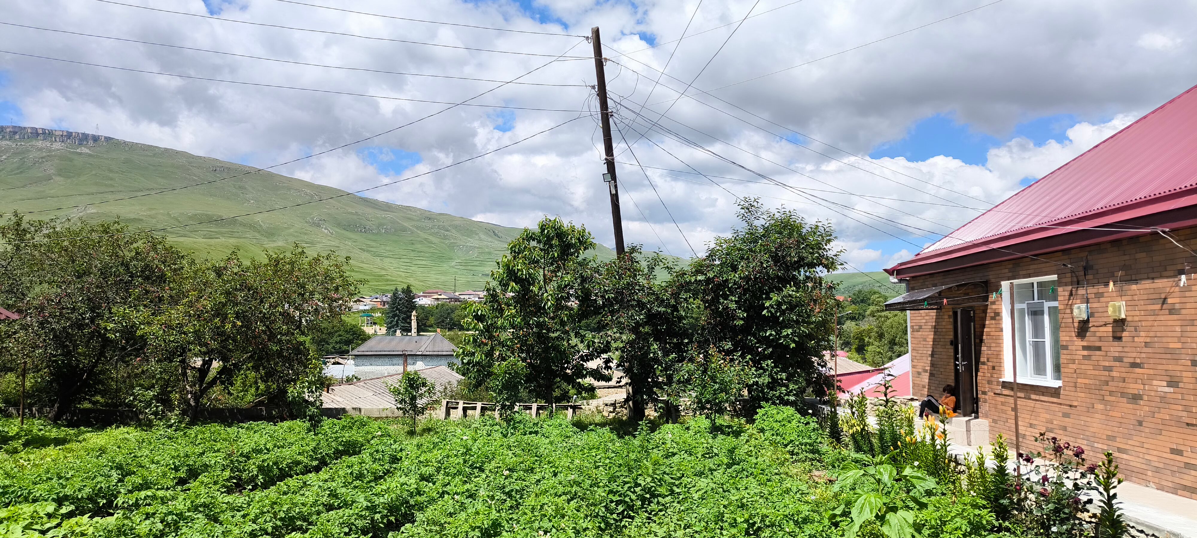 Фото Вишневый сад