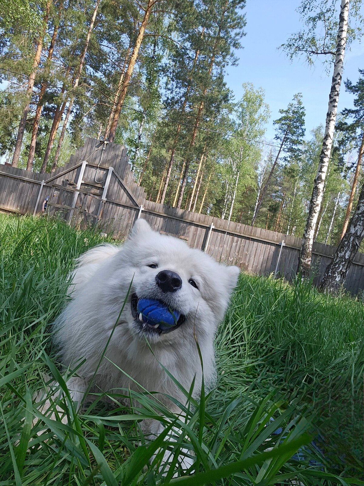 Фото Щукино