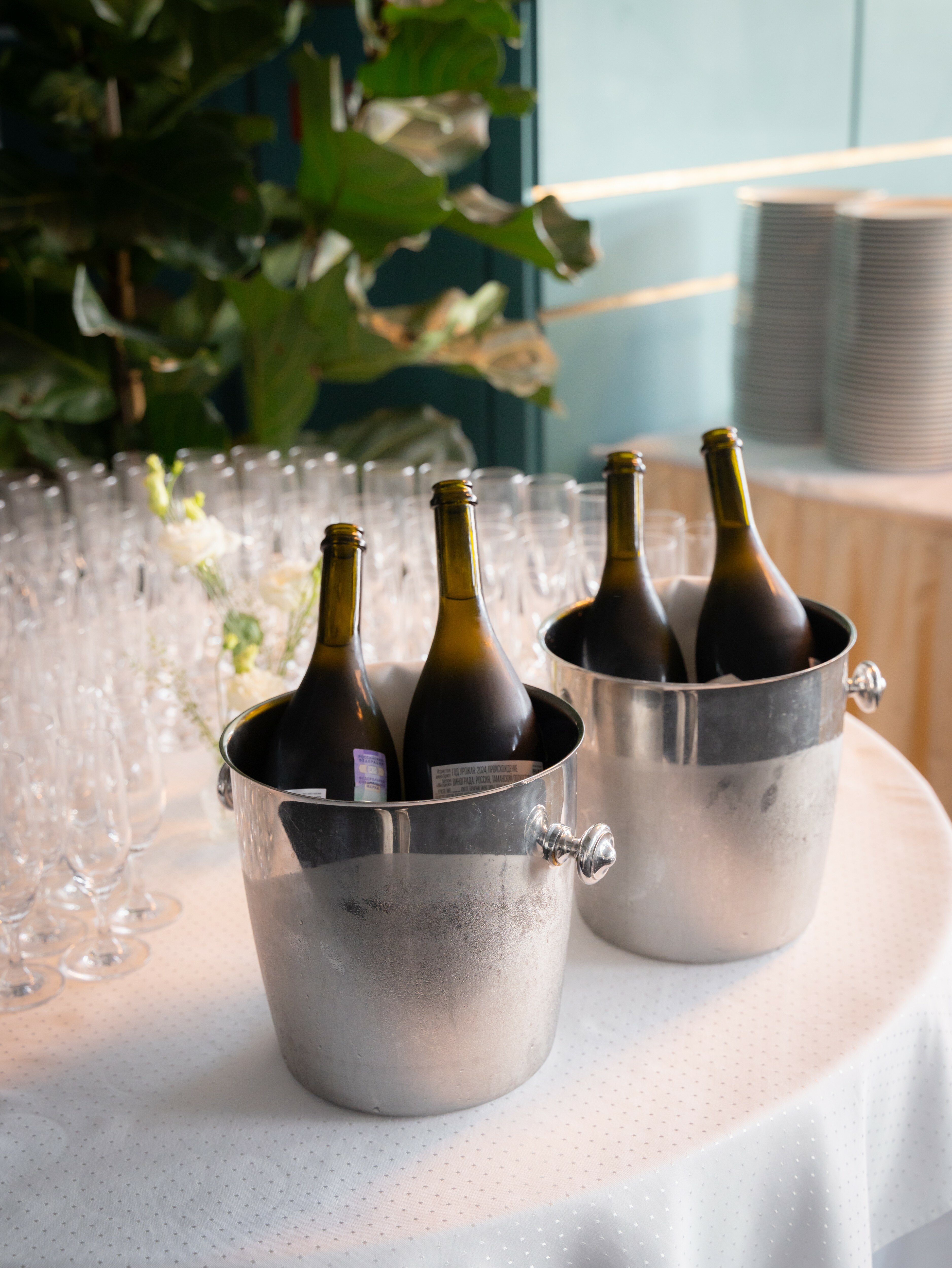 Фото Амбассадор