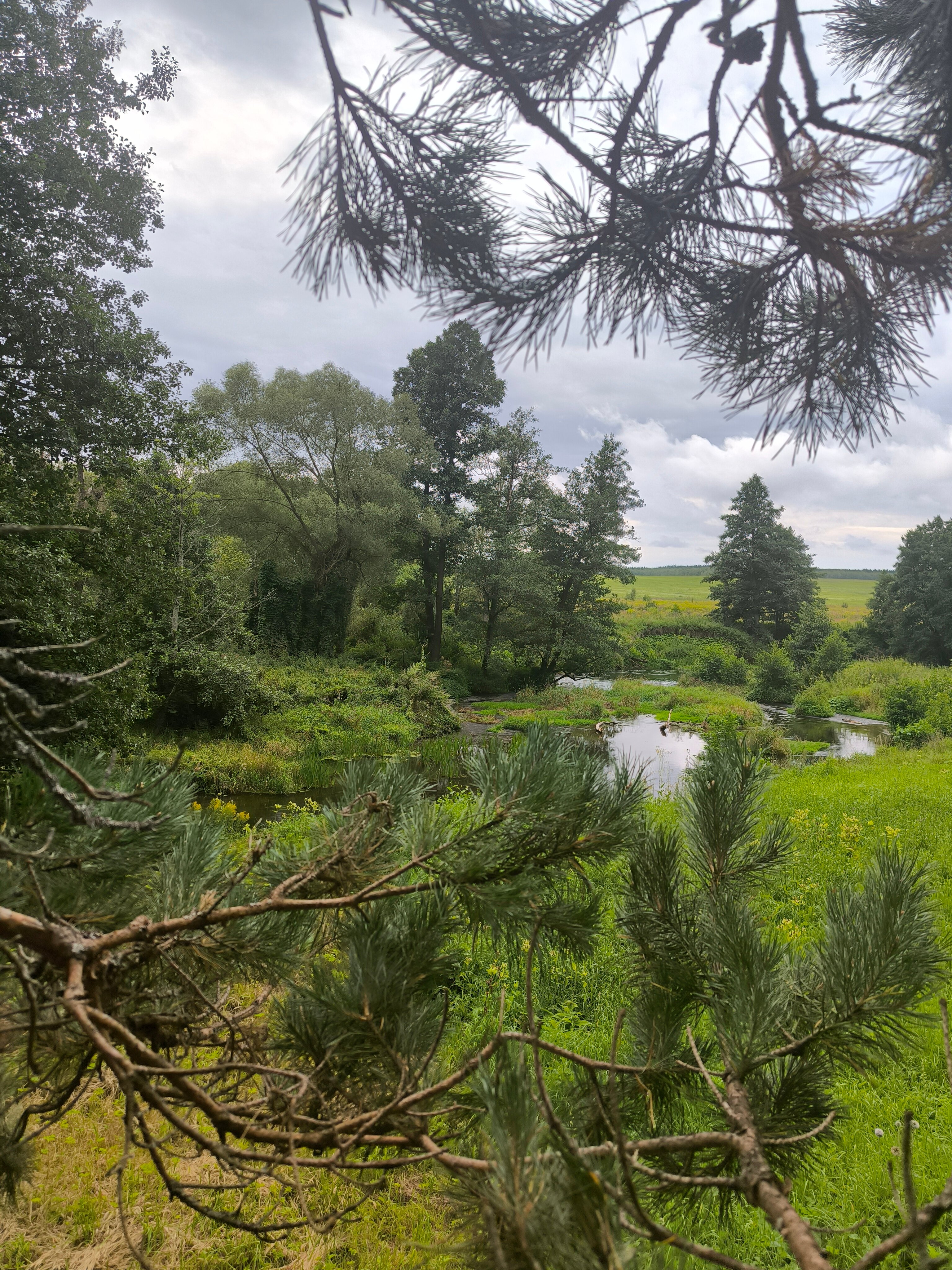 Фото Wish Home Лесной Берег