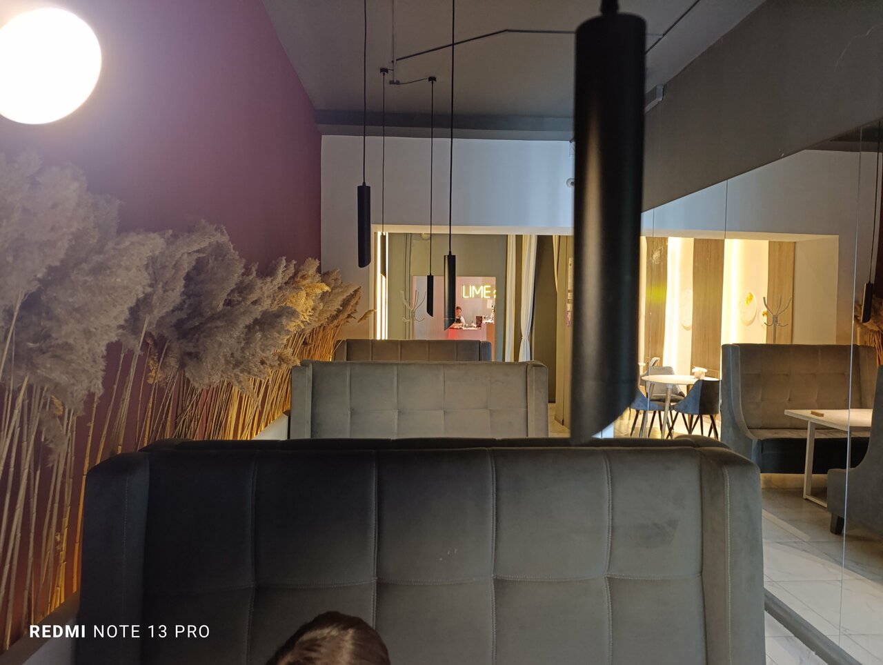 Лайм - фото 3