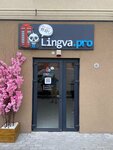 Lingva. pro (posyolok Bolshoye Isakovo, ulitsa Vasiliya Sukhomlinskogo, 1к3), foreign language courses