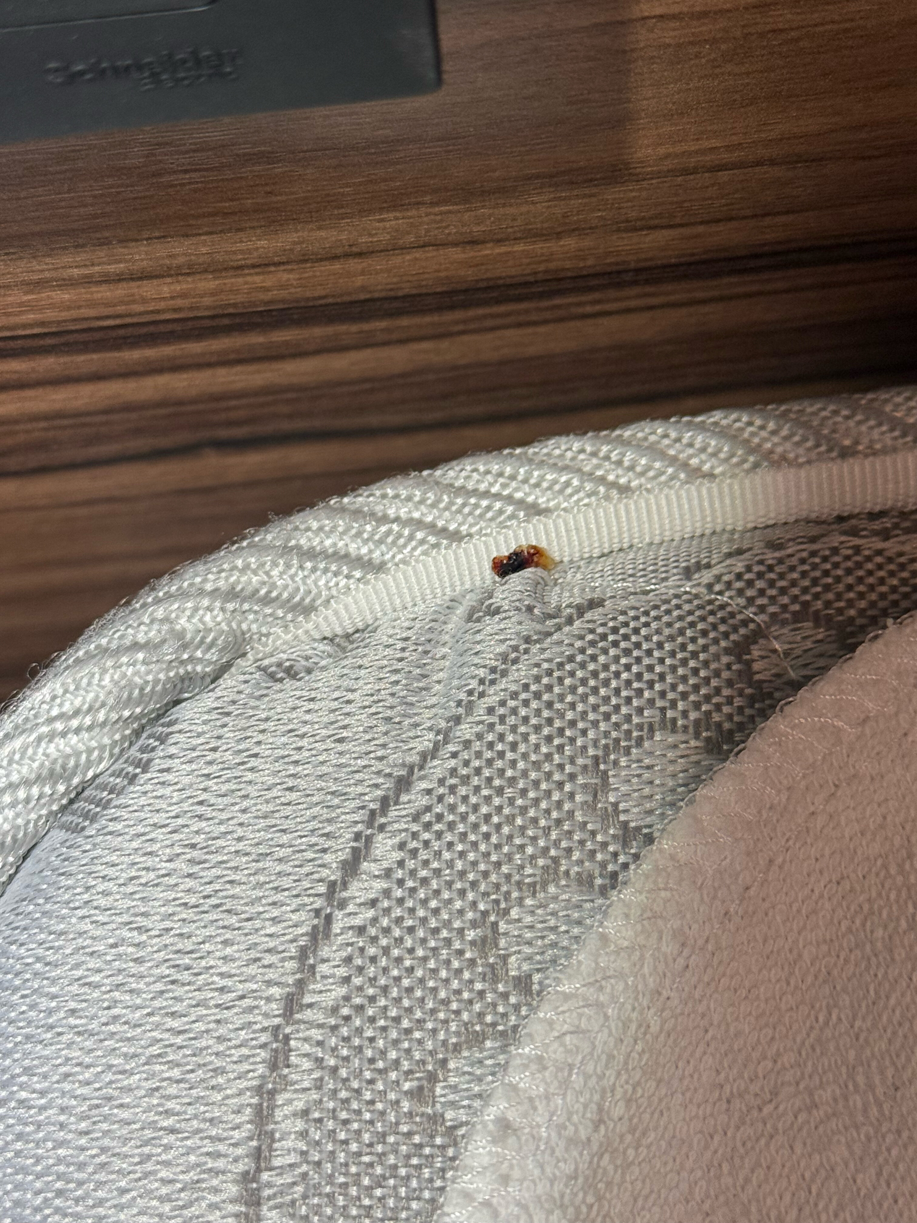 Фото Бутик Отель Номера