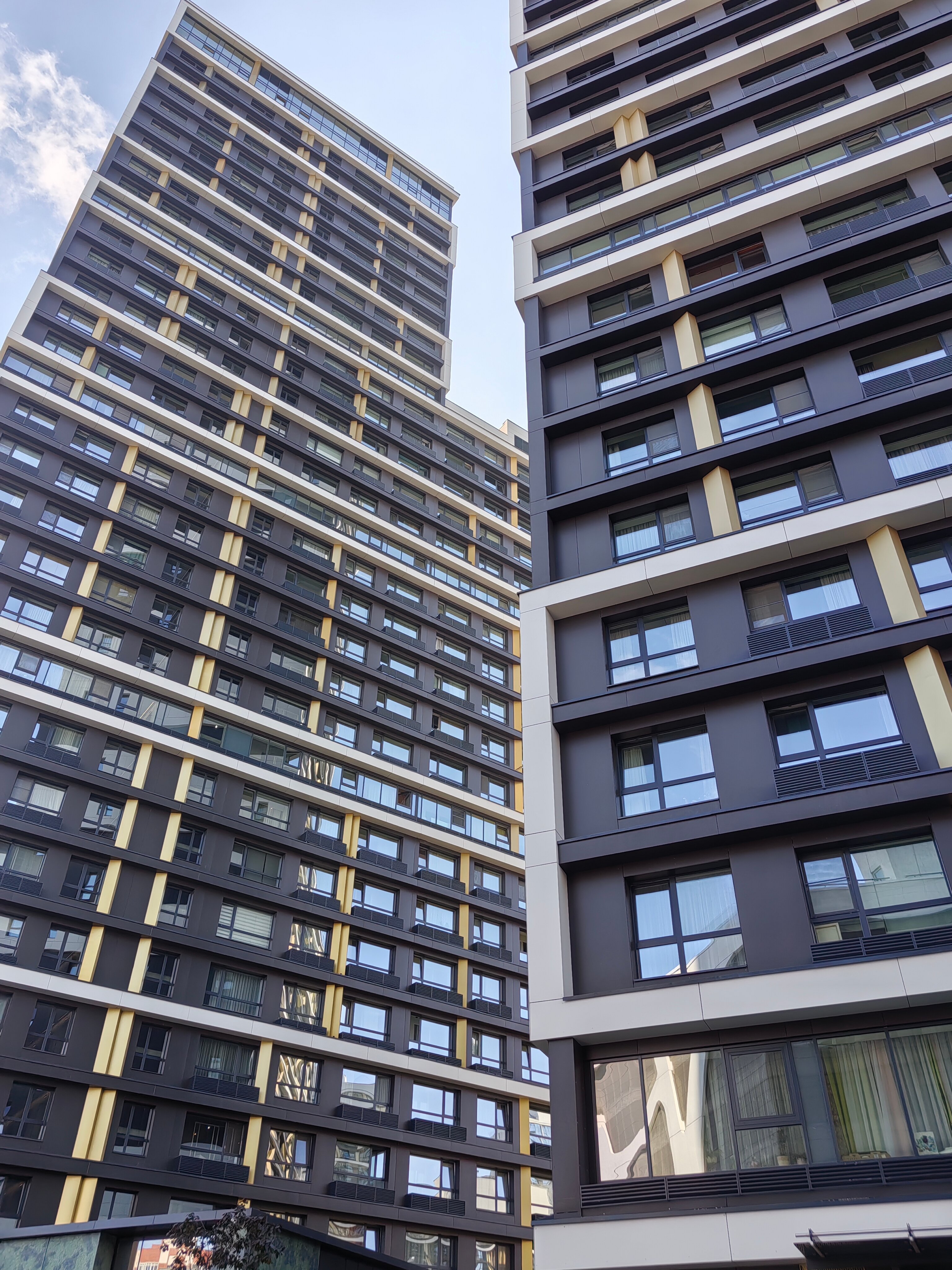 Фото Белый Клевер