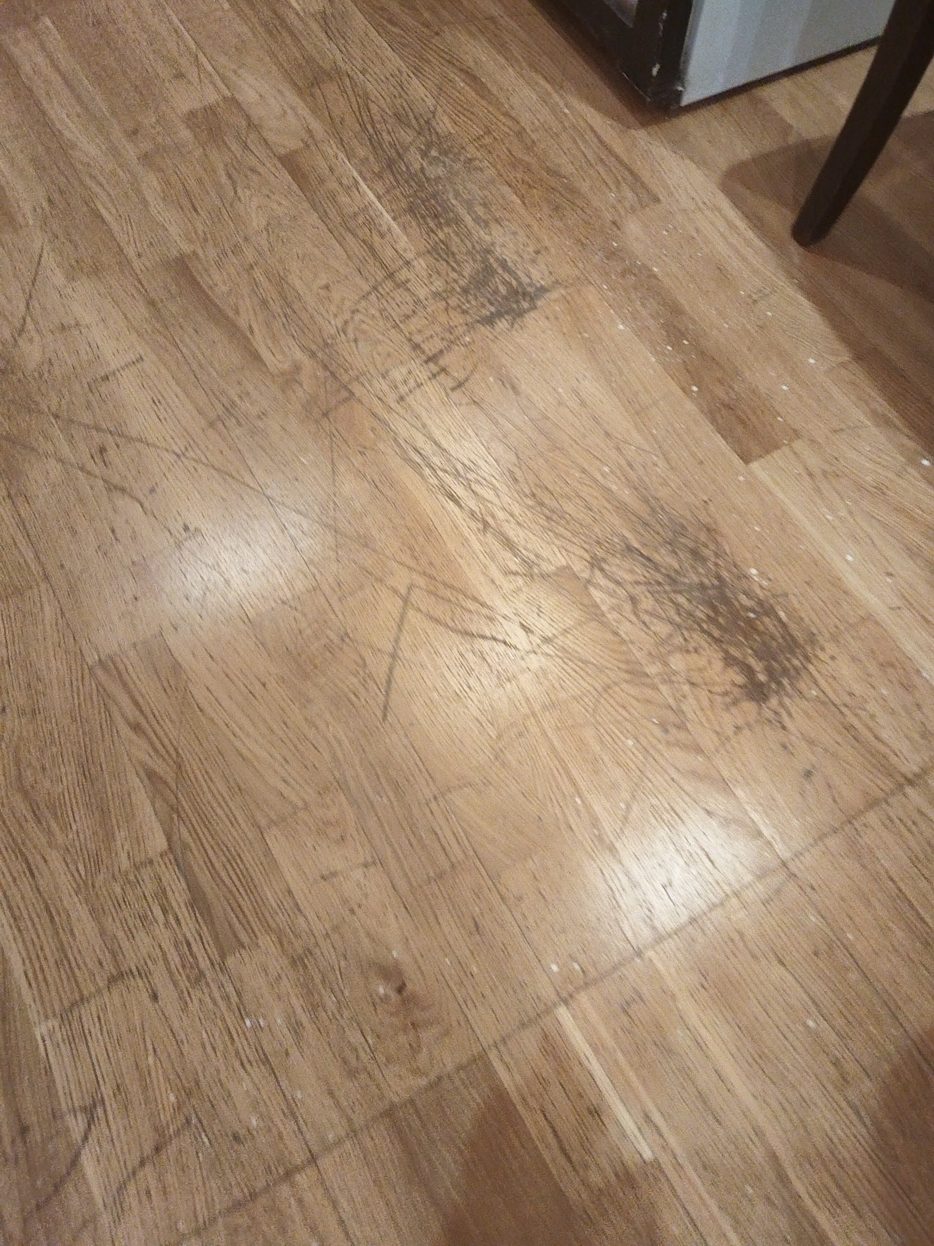 Фото Дальнобойщик