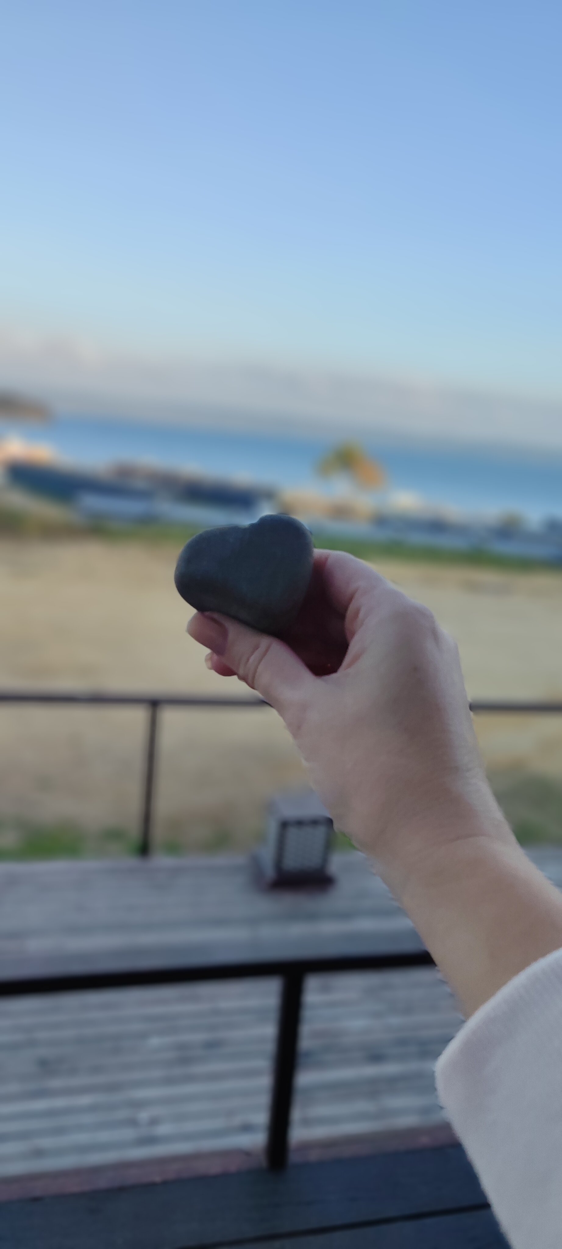 Фото Лазурная черепаха