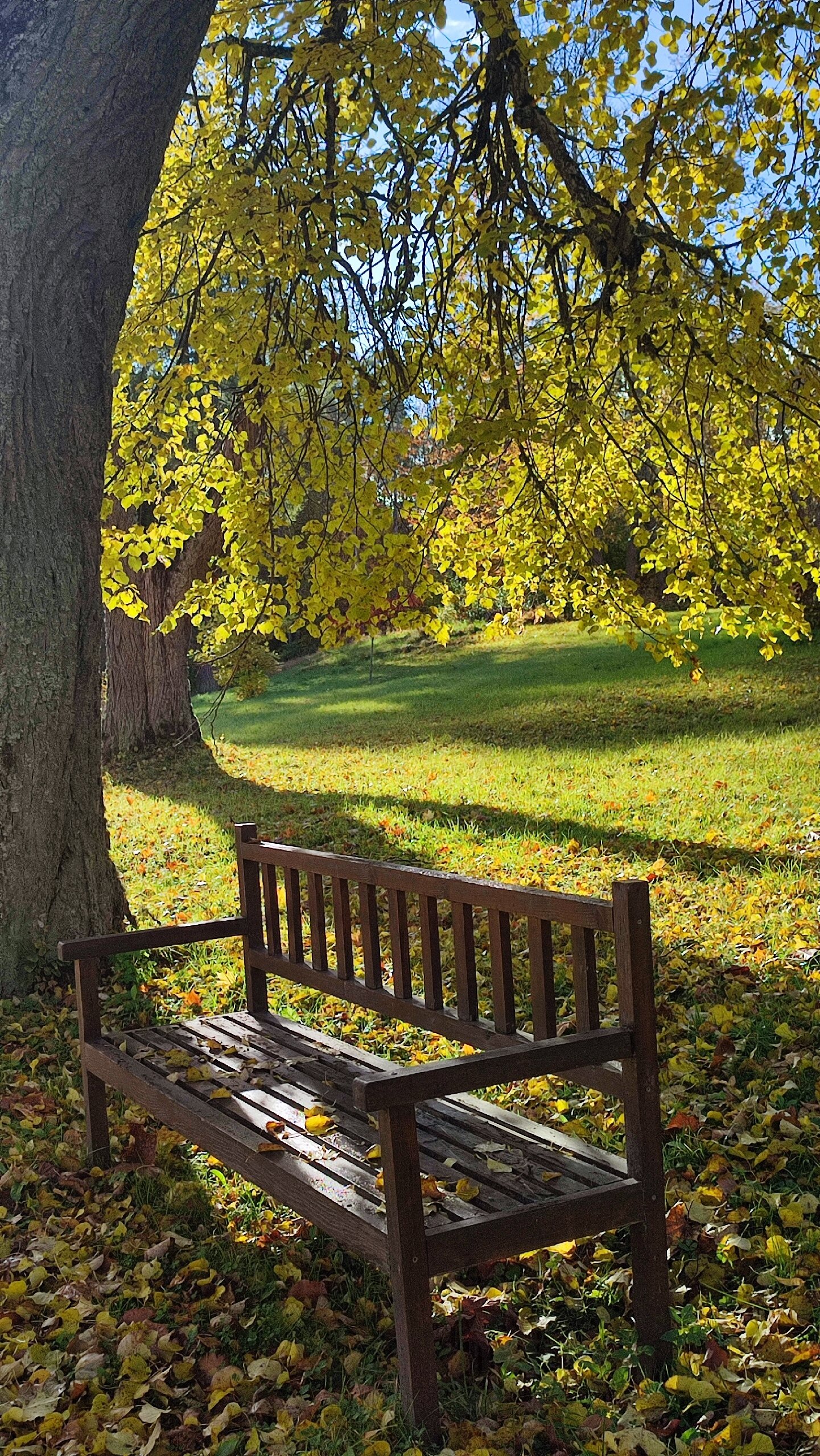 Фото Дворец Елизаветино