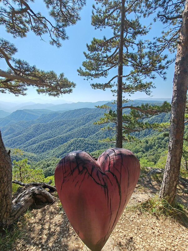 Анна Волкова