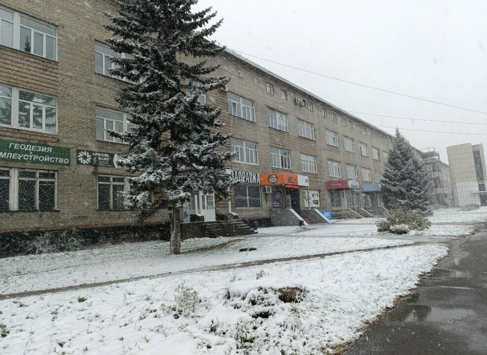 Speech therapists Юность, Barnaul, photo