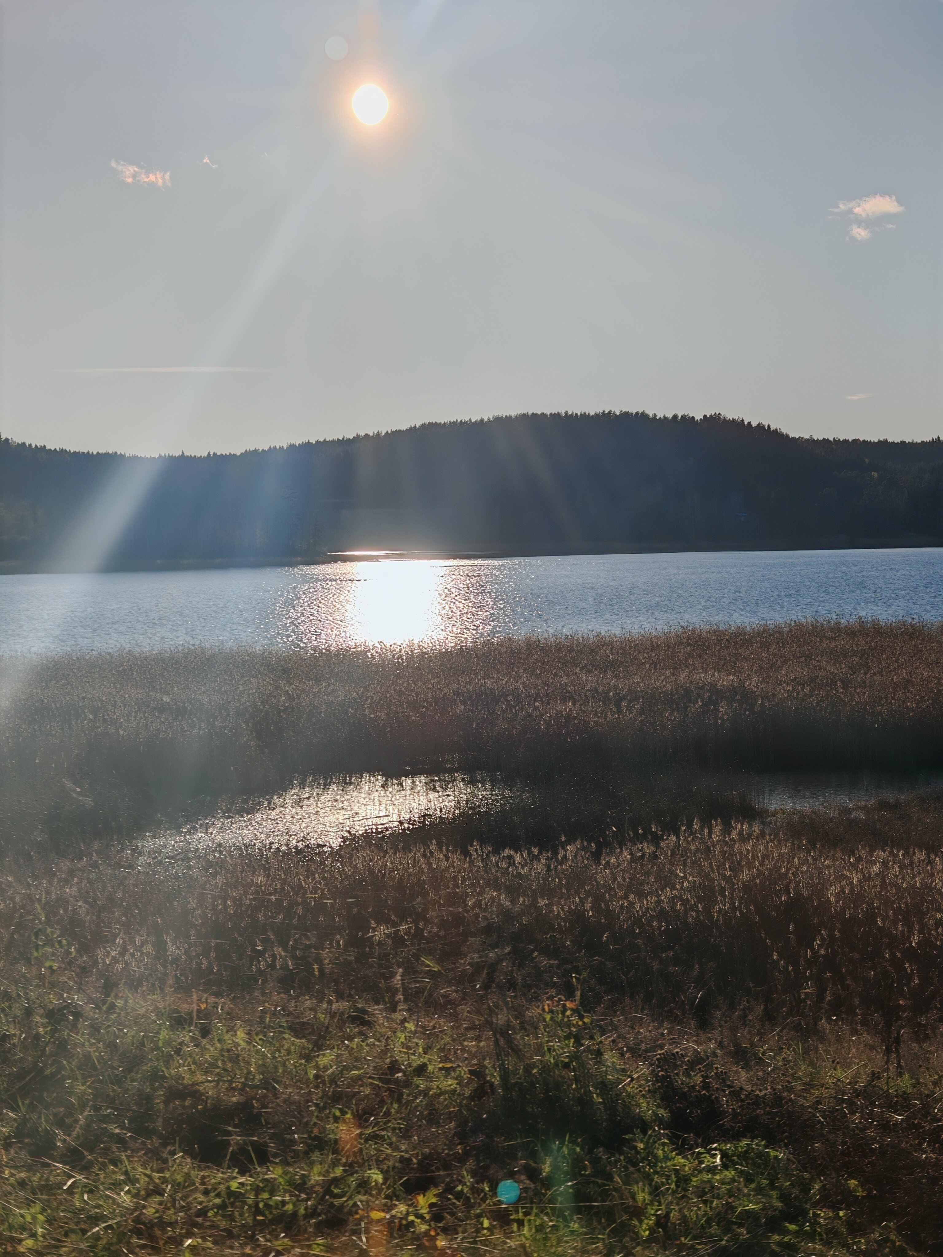 Фото Мункинмяки