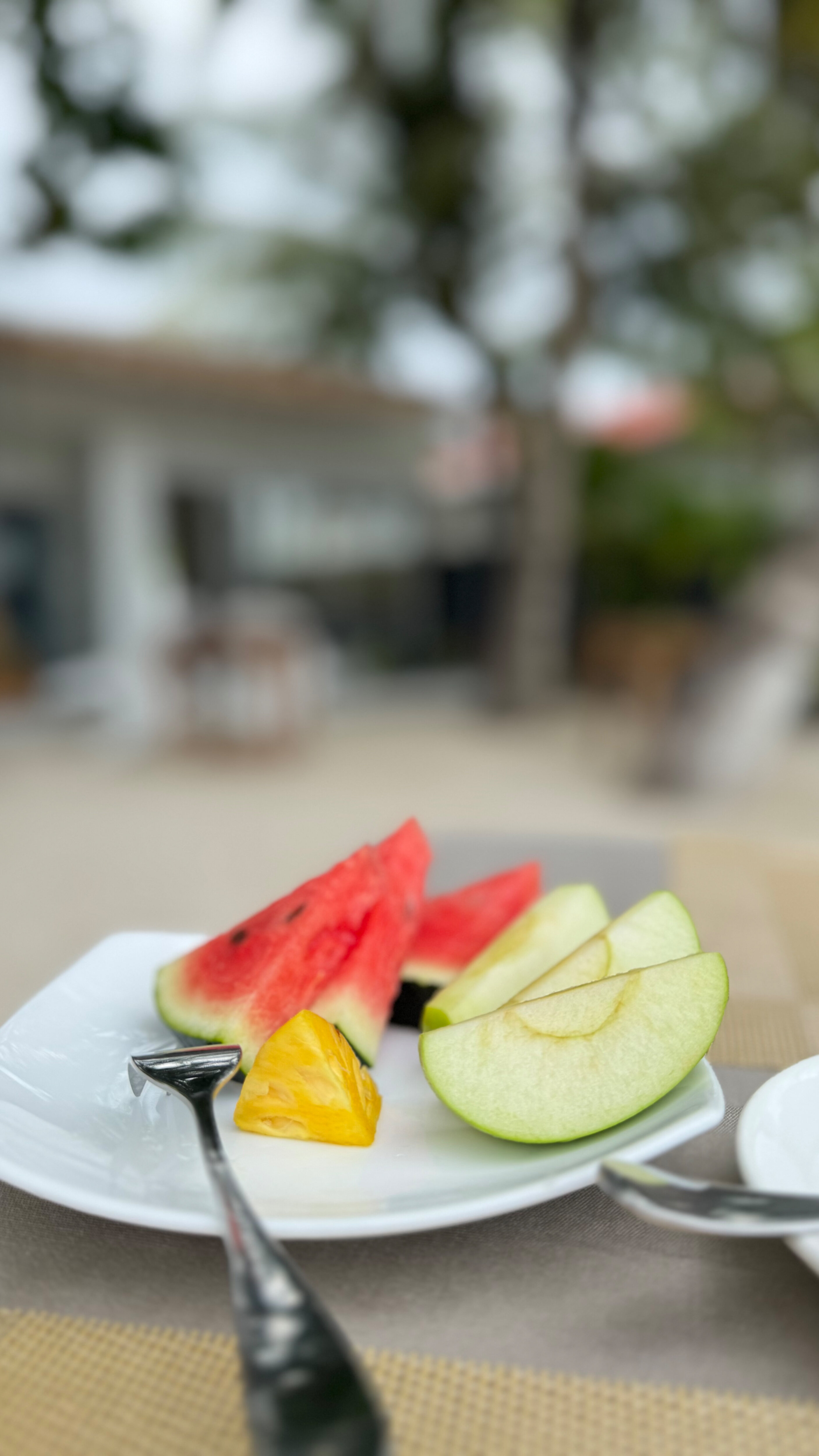 Фото Ithaa Seaview