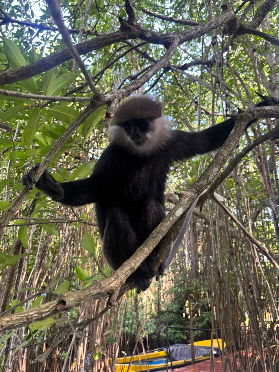 Фото Cinnamon Bey Beruwala