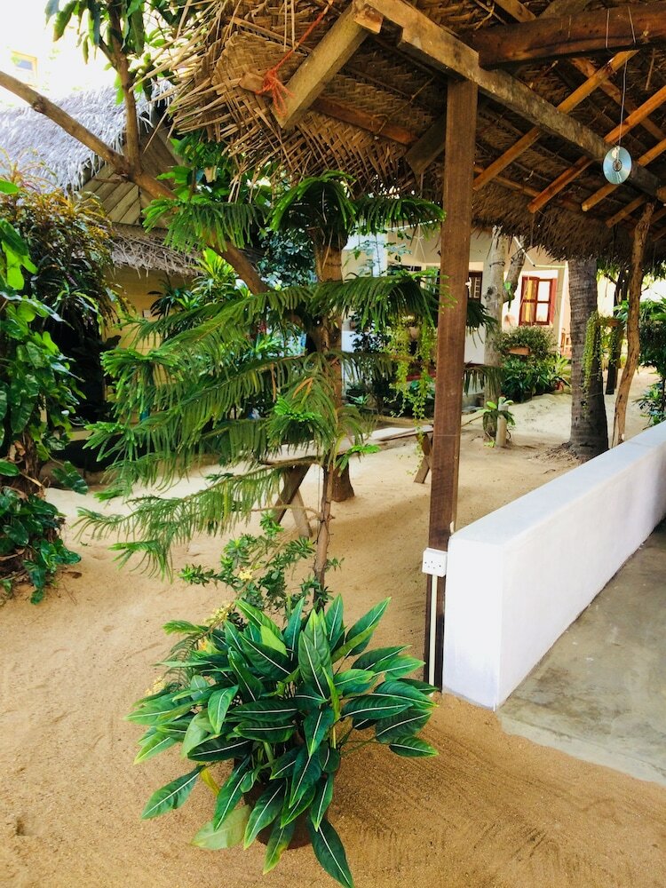 Фото Tropicana homestay