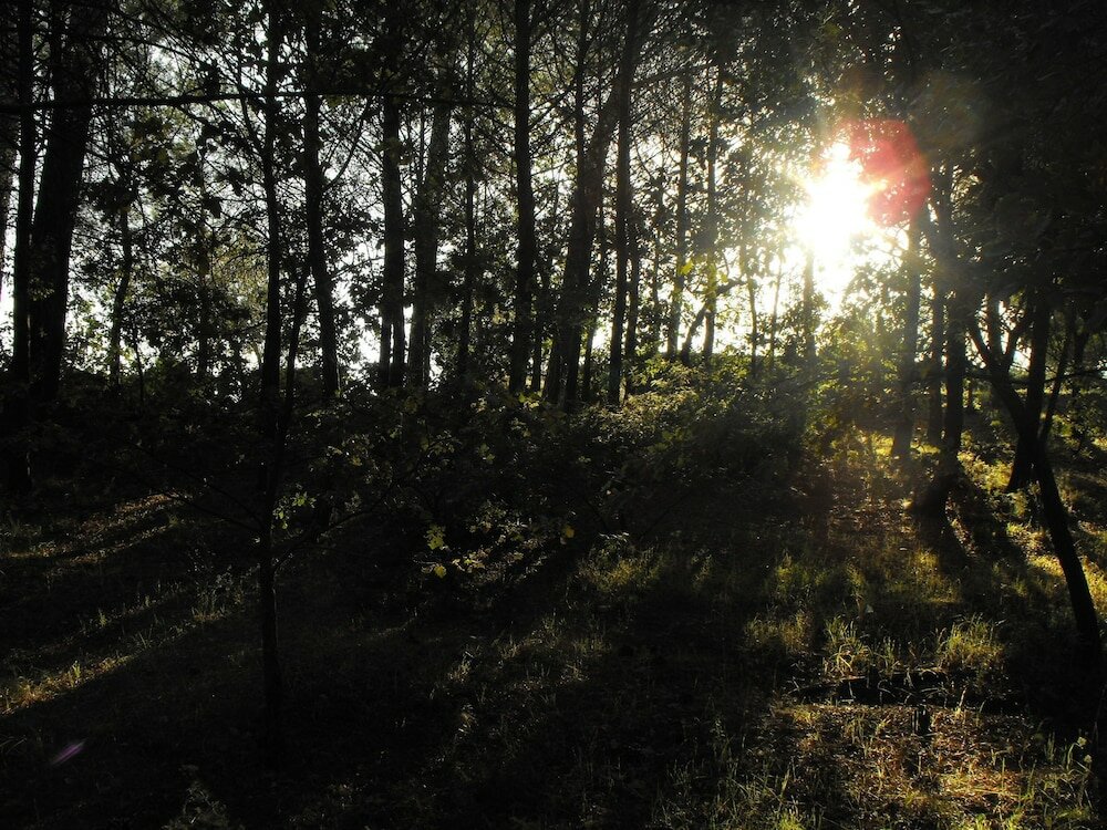 Фото Villa Trigona