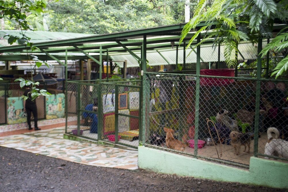 Фото Lands in Love Hotel