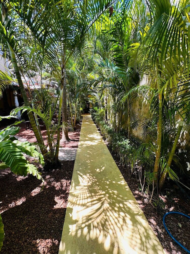 Фото Mango House