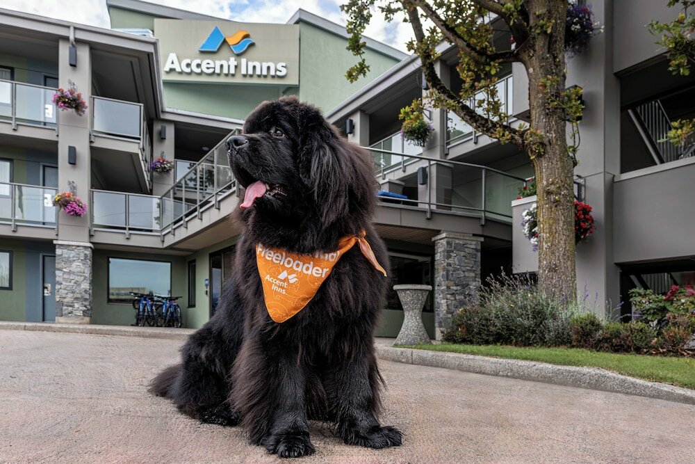 Фото Accent Inns Kelowna