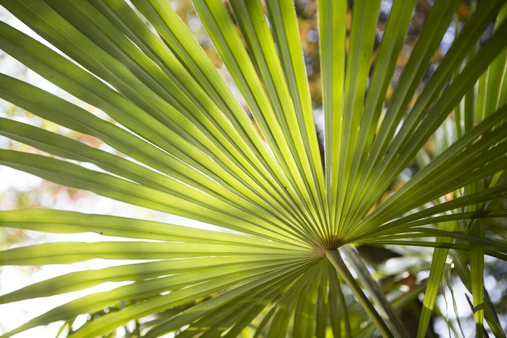 Фото Auszeit Hotel Düsseldorf