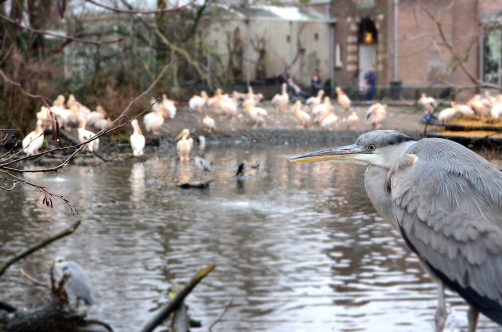 Фото The College Hotel