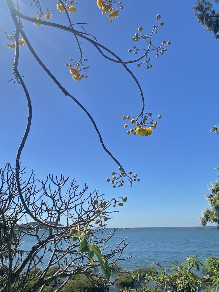 Фото Tamarina Resort Arng Sila