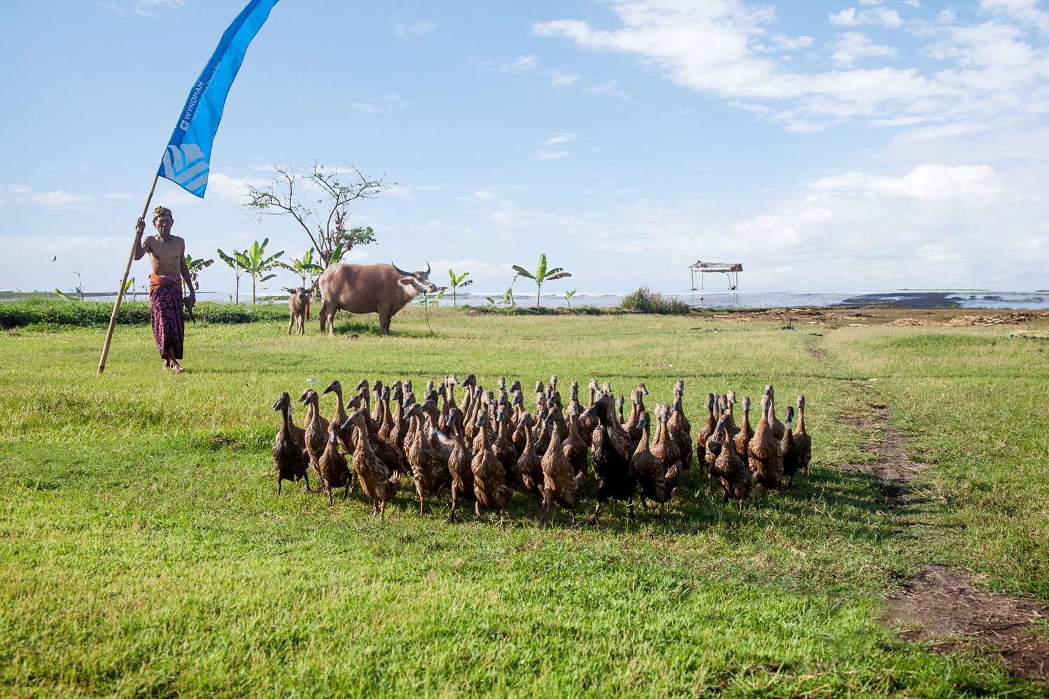 Фото Wyndham Tamansari Jivva Resort Bali
