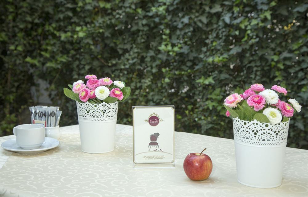 Фото Odeon Hotel