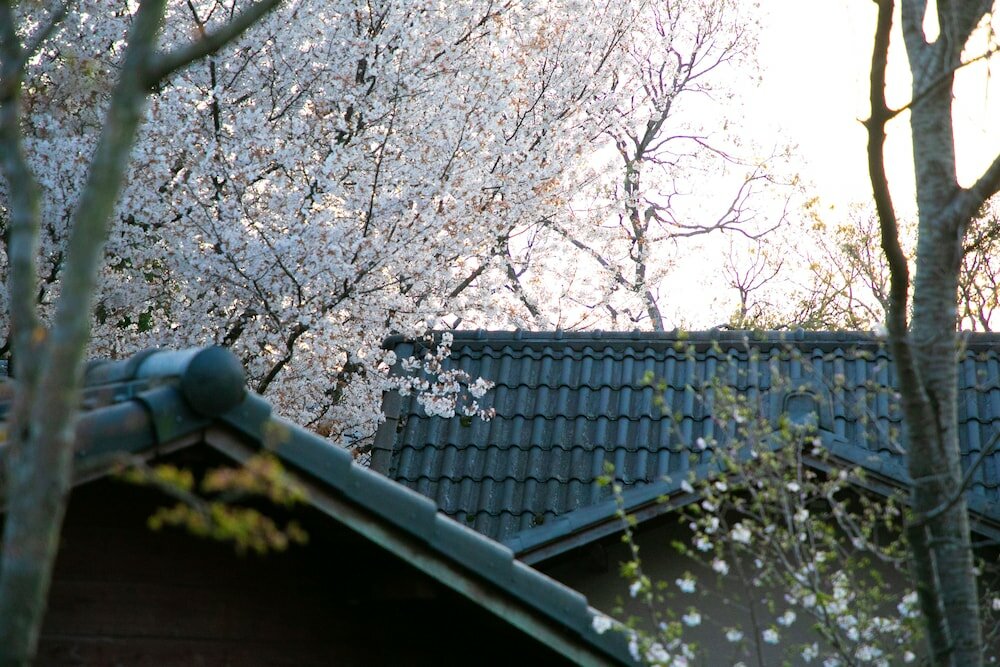 Фото Oyado Ichizen