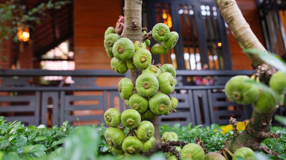 Фото Betel Garden Villas