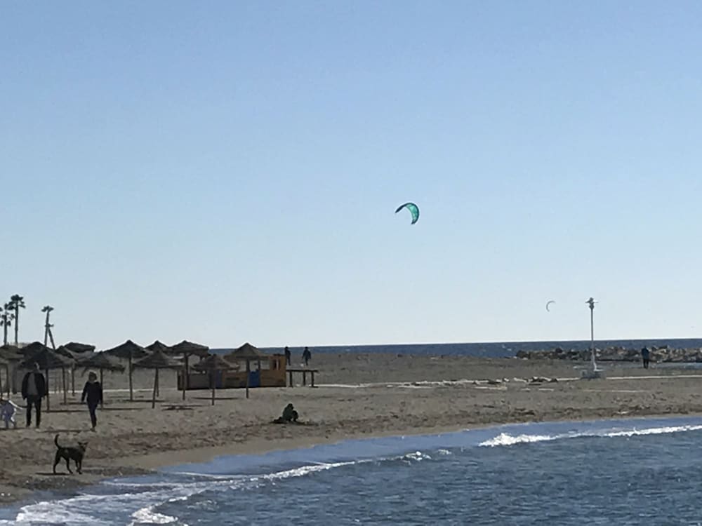 Фото Hostal Moscatel