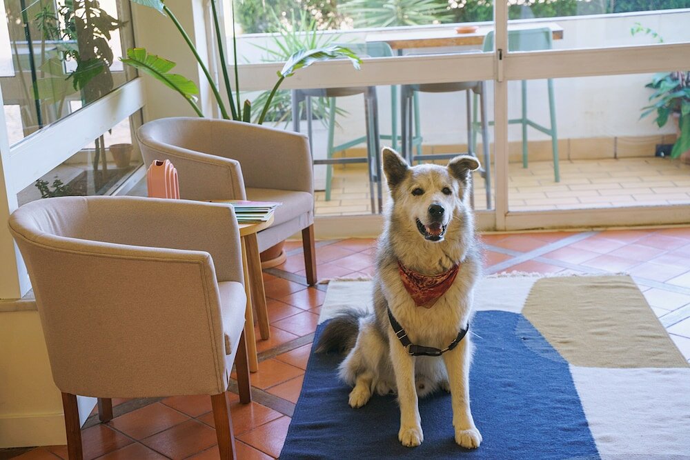 Фото WOT Lagos Montemar