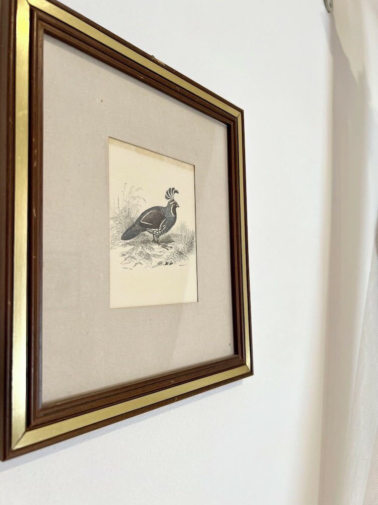 Фото Piccolo Hotel Etruria