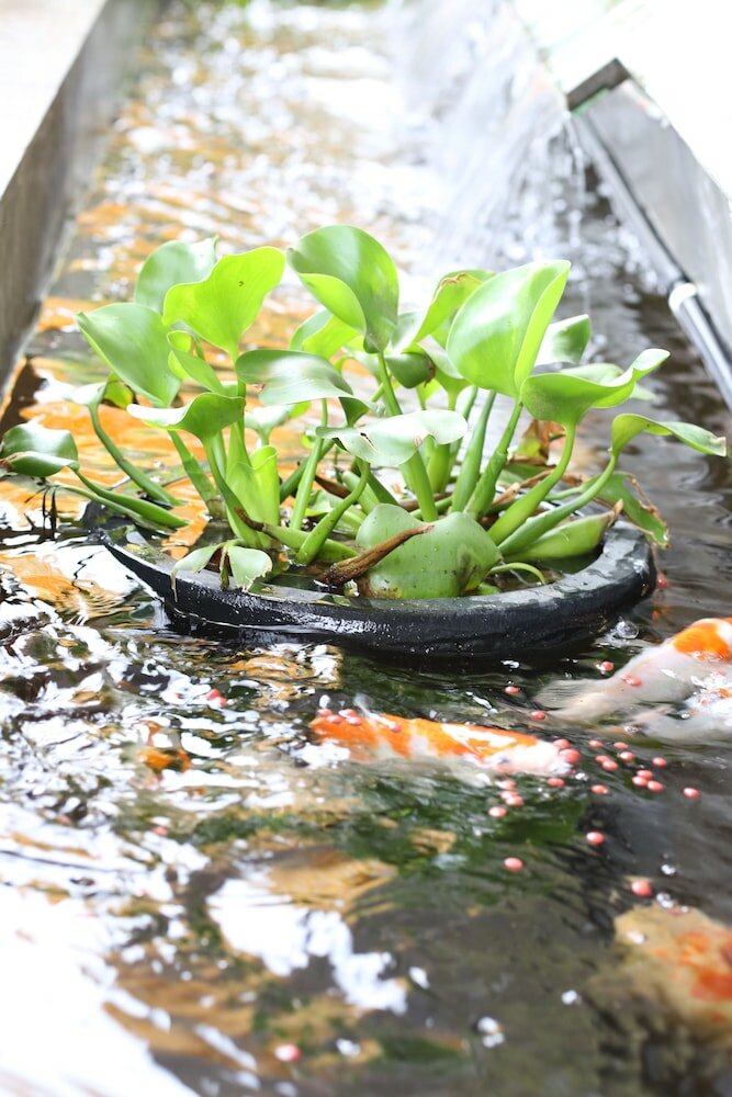 Фото F Hotel Jakarta