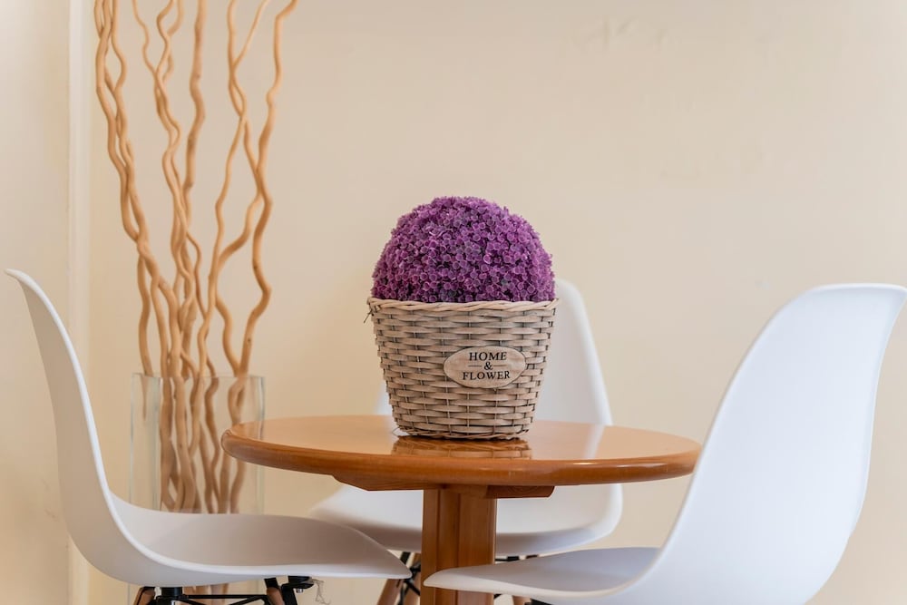 Фото Hotel Amic Colon