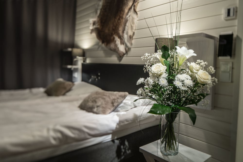 Фото Santa's Igloos Arctic Circle