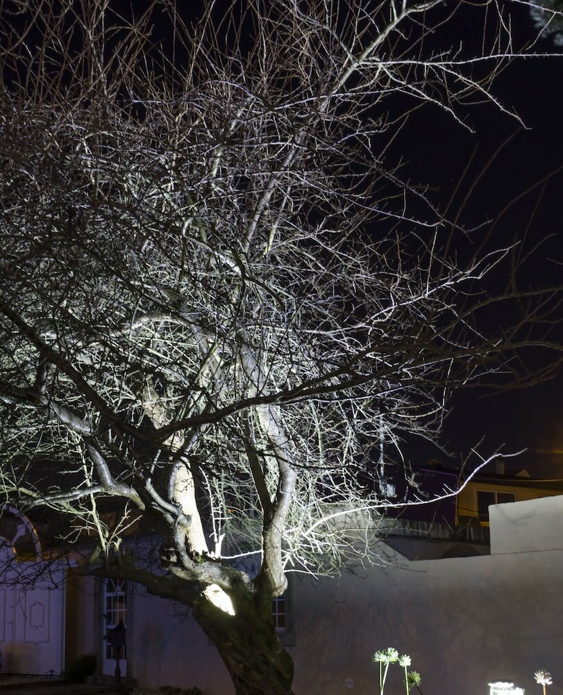 Фото Hotel O Pazo