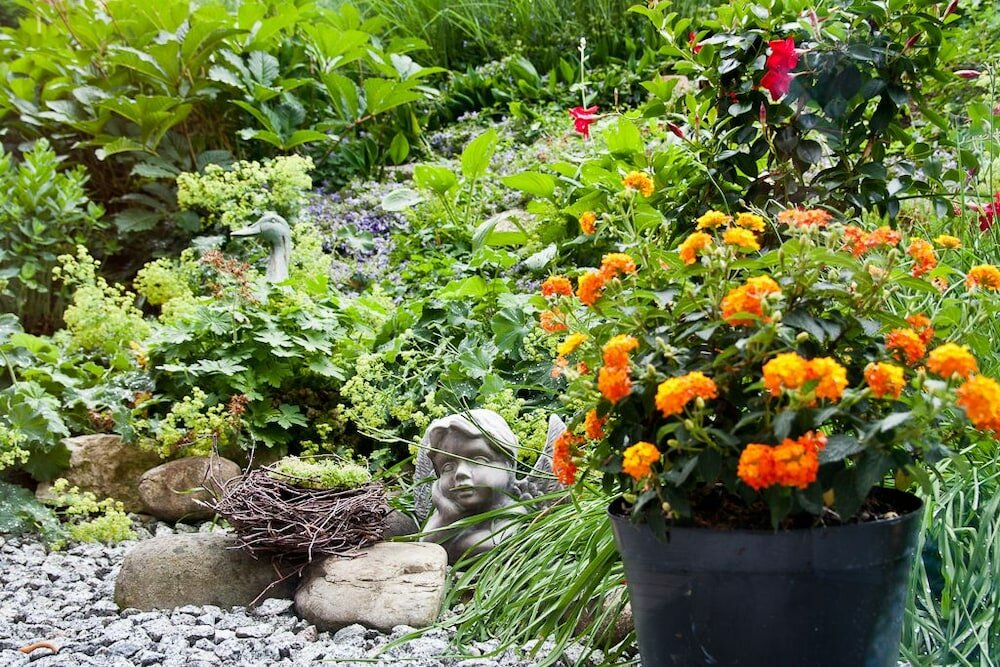 Фото Hotel Vetter