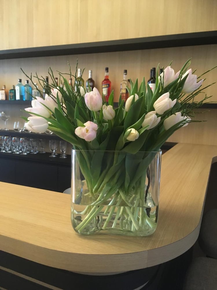 Фото Hotel Louisa