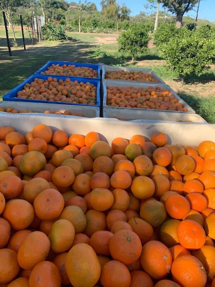 Фото Gerald's Gift Guest House