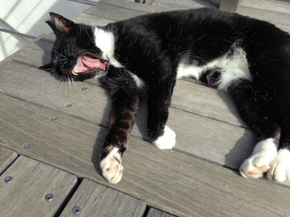 Фото DysART Boutique Hotel