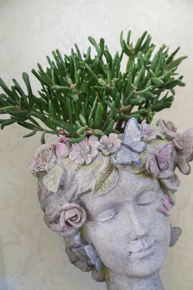 Фото Boutique Hotel Asteria